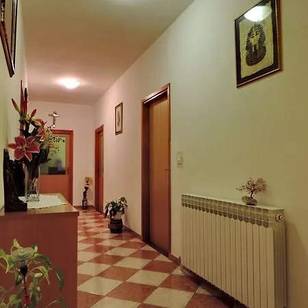 Apartment Peric Zadar Room photo